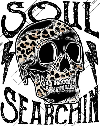 Soul Searching Skull