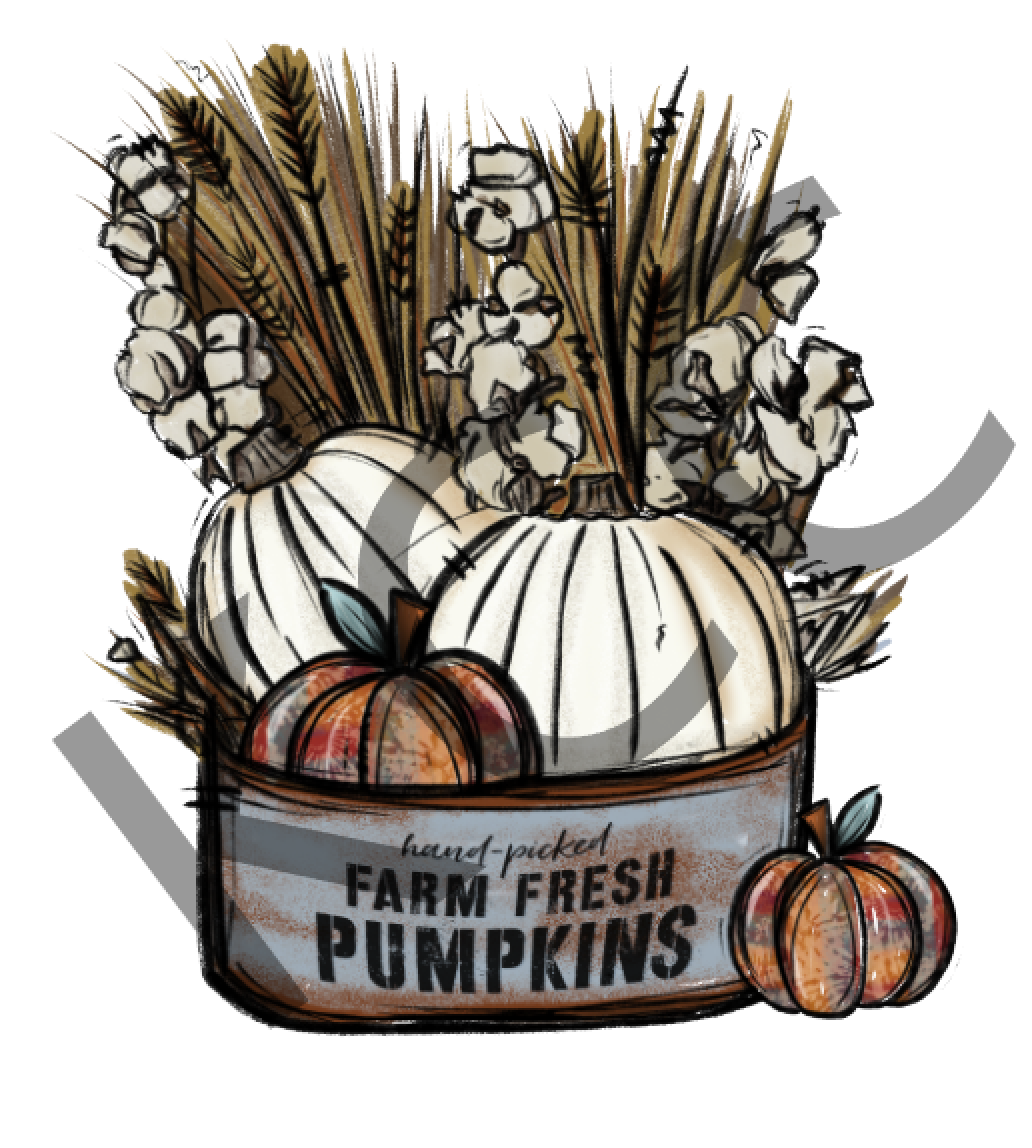 Farm Fresh Pumpkins