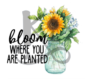 Bloom Where You Are Planted