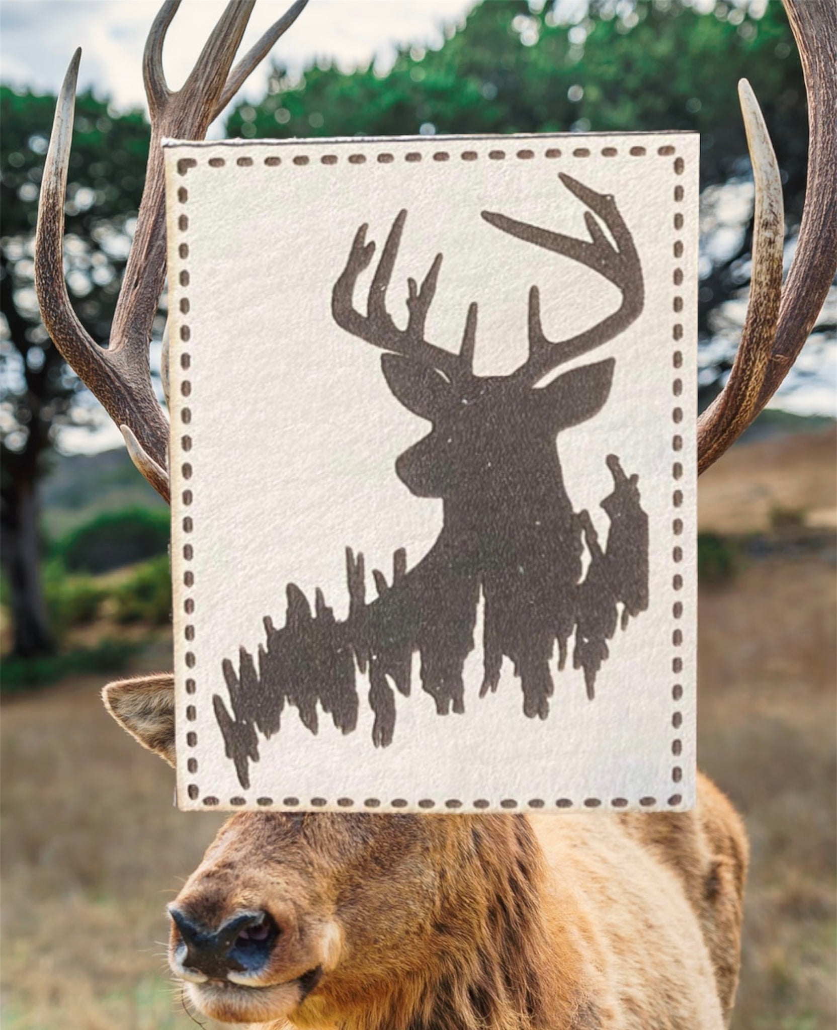 Deer Leather Patch