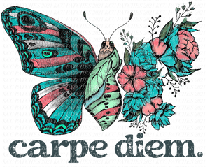 Carpe Diem Butterfly
