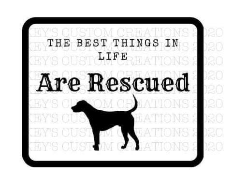 Best Things in Life are Rescued (Dog)
