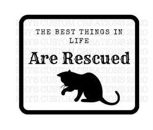 Best Things in Life are Rescued (Cat)