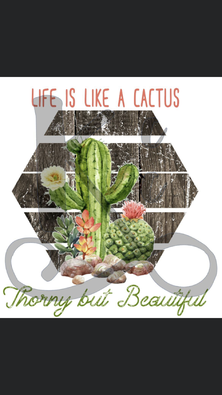 Life is Like a Cactus
