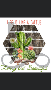 Life is Like a Cactus