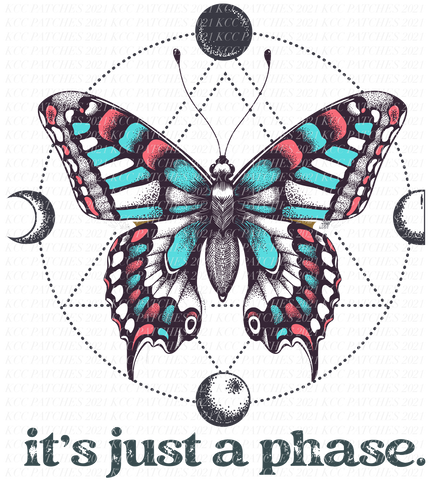 It's Just A Phase Butterfly