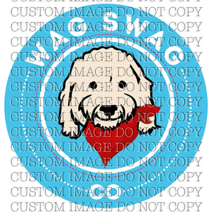 Amy Custom