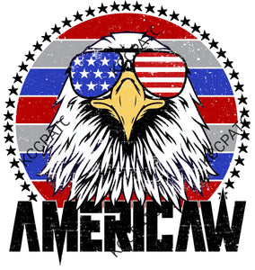 Americaw